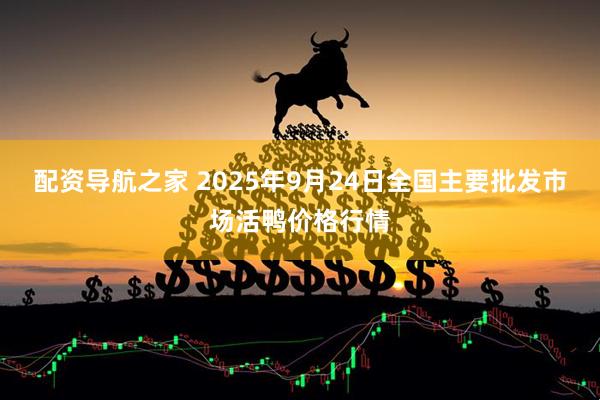 配资导航之家 2025年9月24日全国主要批发市场活鸭价格行情