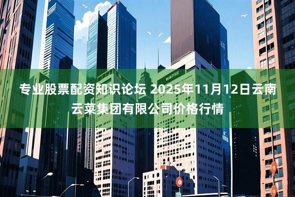 专业股票配资知识论坛 2025年11月12日云南云菜集团有限公司价格行情