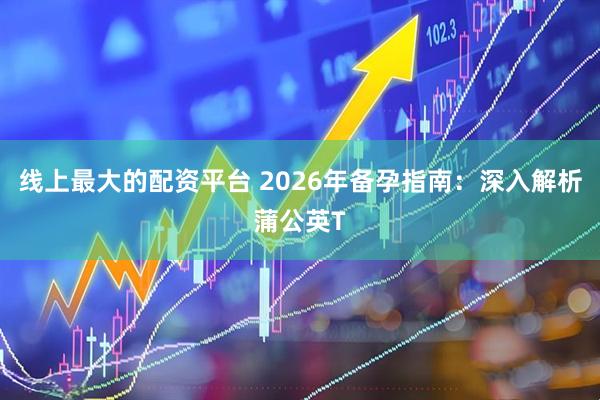 线上最大的配资平台 2026年备孕指南：深入解析蒲公英T